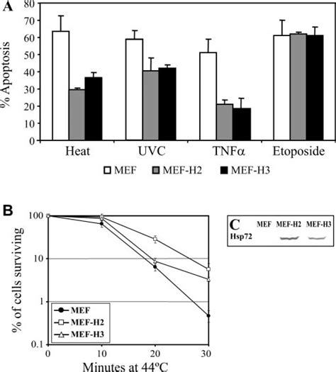 Hsp72 Protects MEF From Apoptosis Induced By Heat UVC Radiation And