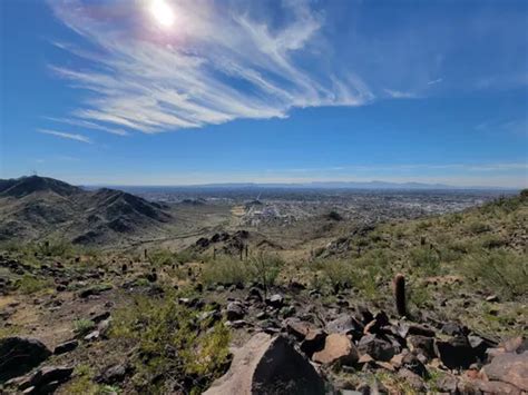 2023 Best 10 Bird Watching Trails in Phoenix Mountain Preserve | AllTrails