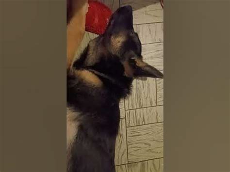 Икотка) - YouTube