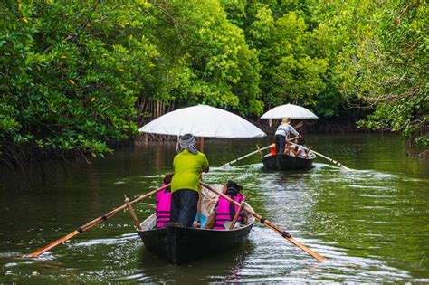 Premium Photo Boat Trip Bringing Tourists To See The Mangrove Forest