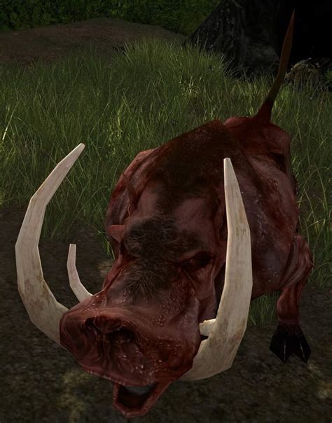 Old Bloodtusk Lotro Wiki