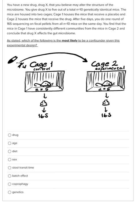 Solved What qualities make 16S rRNA a good marker gene for | Chegg.com 