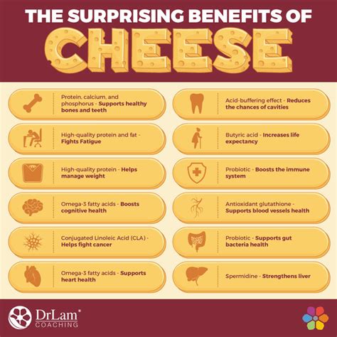 Cheese Have Any Health Benefits At Richard Ingram Blog