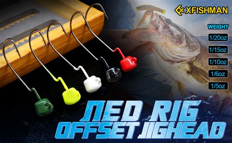 Amazon Ned Rig Finesse Offset Jig Heads Kit Weedless Mushroom Ewg