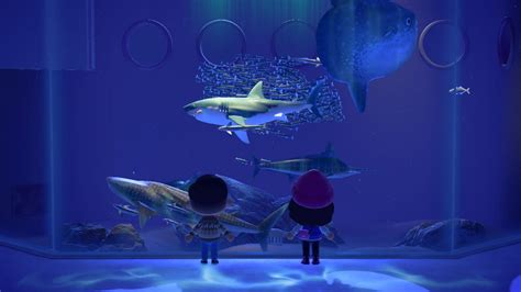 Animal Crossing Aquarium In 2023 Shark Art Butterfly Project Animal