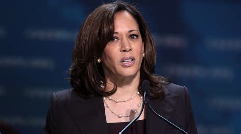 US plans Tanzania trade boost as Kamala Harris tours Africa - MINING.COM