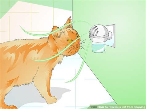 How to Prevent a Cat from Spraying: 12 Steps (with Pictures)