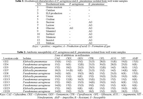 Table 1 From Antibiotic Susceptibility Pattern Of Klebsiella Pneumoniae