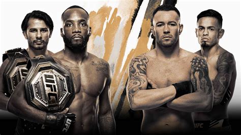 UFC 296 Viewing Party