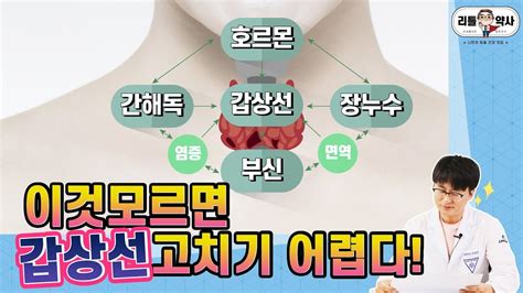 갑상선기능저하증 증상영양제 1년 섭취 A2