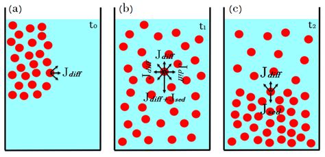 Schematics Of The Three Steps Of Sedimentation Diffusion Equilibrium