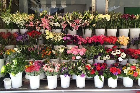 10 Best Florists in San Francisco for Fresh Bouquets or Delivery