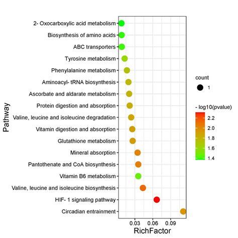 Bubble Plots For Metabolic Pathway Enrichment Analysis Horizontal Axis