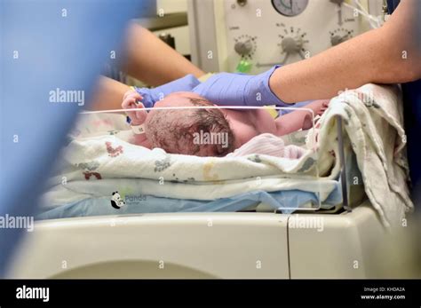 Baby im mutterleib Fotos und Bildmaterial in hoher Auflösung Alamy