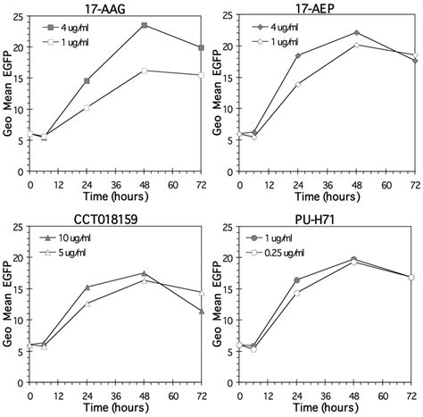 Transient Exposure To Hsp Inhibitors Effect On Melan A Mart