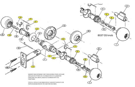 dissecting  anatomy   deadbolt lock