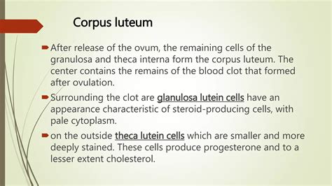 Ovarian follicles | PPT