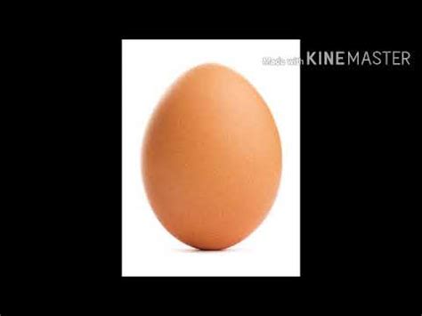 The Egg Song - YouTube