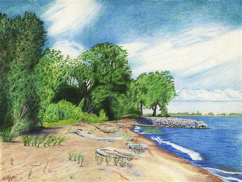 Old Woman Creek Huron Ohio Drawing By Shawna Rowe Pixels