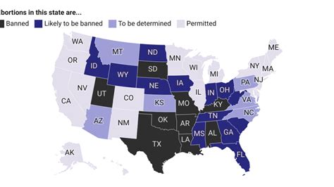 A State-by-State Guide to Abortions Laws in the U.S. – NBC4 Washington