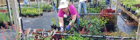 Volunteer Program Marion County University Of Florida Institute Of