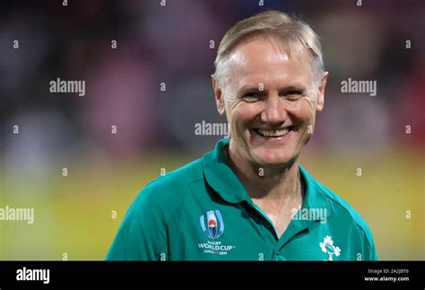 Ireland head coach Joe Schmidt during the 2019 Rugby World Cup Pool A ...