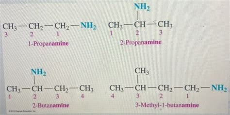 Ch 18 Flashcards Quizlet