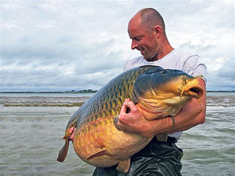 Lac Du Der Chantecoq Carpworld