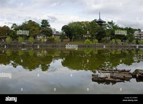 pagoda, style of construction, architecture, architectural style, japan ...