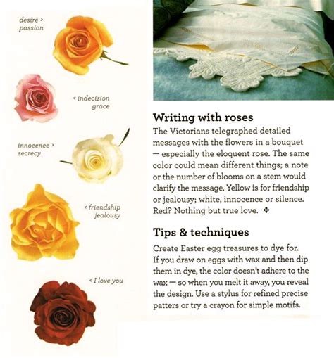 Know What The Color Of Roses Means Briar Rose True Love Easter Eggs Helpful Hints Wax