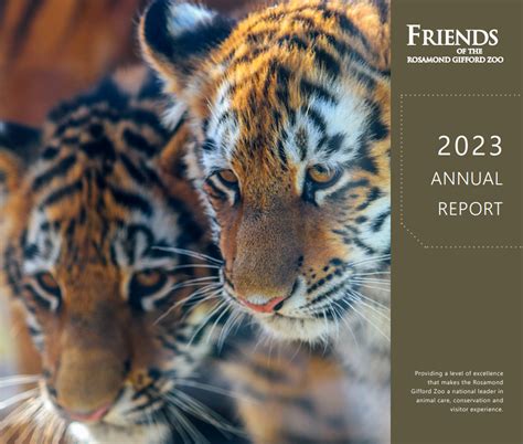 Annual Report and Financials