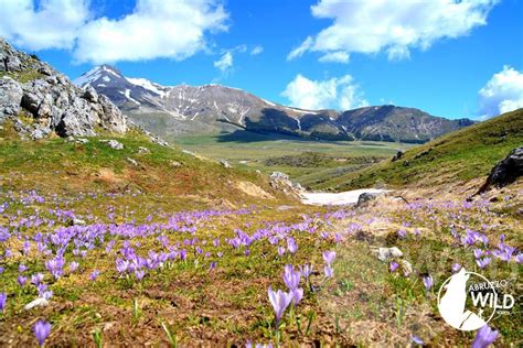 Trekking In Abruzzo Ed Escursioni Condotte Da Guide Alpine 1