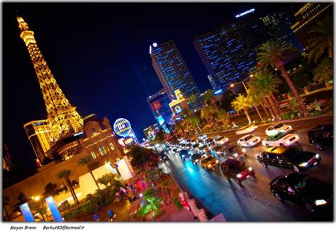 Pet-Friendly Hotels on the Las Vegas Strip – Leaving and Living In Las Vegas