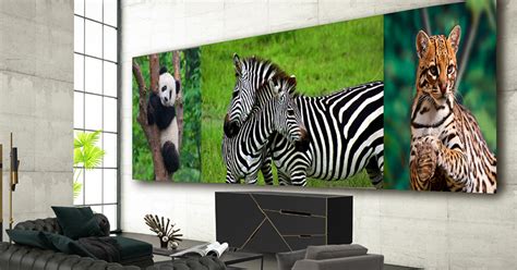 Lgs New 325 Inch 8k Tv Covers Entire Wall And Costs 17 Million Maxim