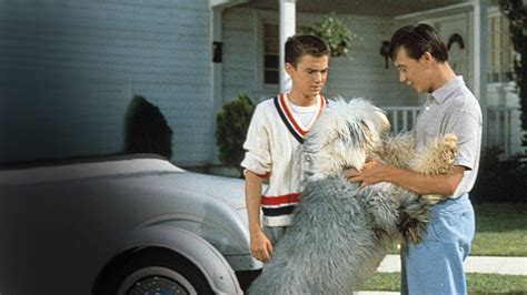 The Shaggy Dog (1959) Full Movie