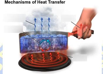warm cold diagram quizlet