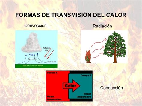 ¿de Qué Factores Depende La Propagación Del Fuego