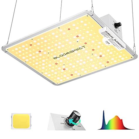 Best Grow Tent With LED Lights: How To Choose The Right One