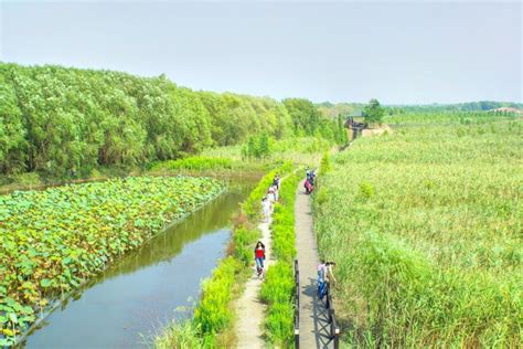 Chongming Island National Geopark travel guidebook –must visit ...