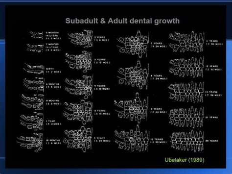 Session No Age And Sex Estimation In Juvenile Skeletal Remains By Rose Campbell Ppt