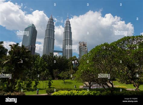 Klcc Parc Arbre Petronas Tours Jumelles Banque De Photographies Et D