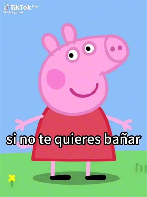 Pin By Amparo On Pines Creados Por Ti In 2024 Pig Memes Peppa Pig