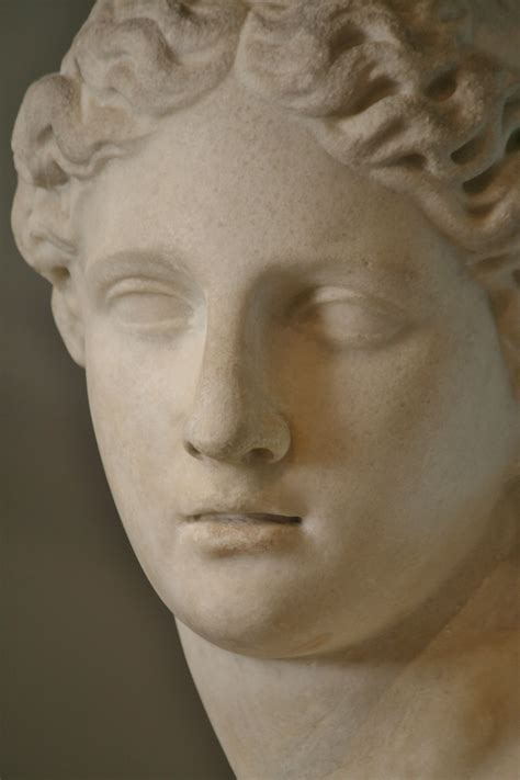 Detail Venus Roman Variant Of A Greek Work Sculptured By Praxiteles