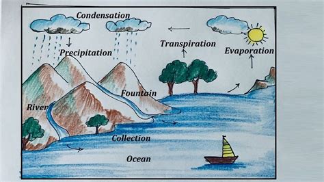 Water Cycle Drawing and Explanation for School Project | Water Cycle Diagram | Cycle drawing ...