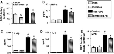 Effects Of GW4869 Pre Treatment On Exosome Release Pro Inflammatory