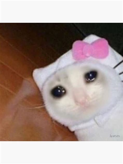 Foto De Gato Llorando Meme Caption Memes Or Upload Your Own Images To