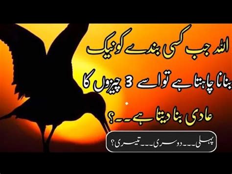 Allah Jab Kise Bande Ko Naik Banana Chahta Hai Islamic Quotes About