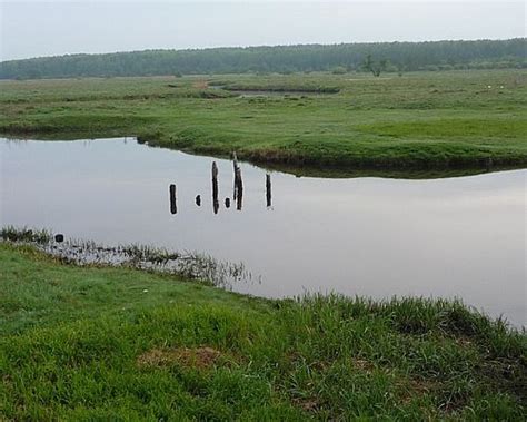 Рожок - читайте на Сatcher.fish
