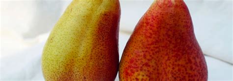 Posted By Sex Shop Comment S View S