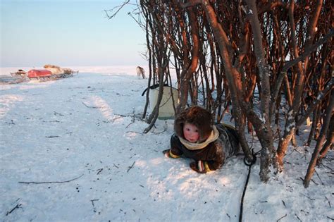 Дети Севера — Авторские выставки — Галерея — Фотошкола Академия ...